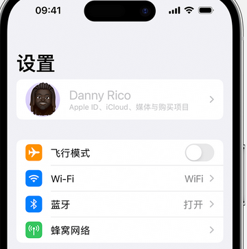 东英镇appleID维修服务iPhone设置中Apple ID显示为灰色无法使用 