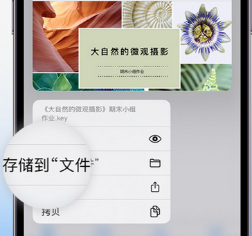 东英镇apple维修中心分享iPhone文件应用中存储和找到下载文件