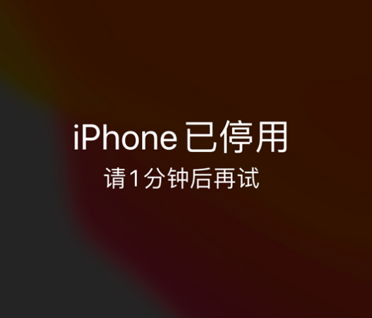 东英镇苹果手机维修分享:iPhone 显示“不可用”或“已停用”怎么办？还能保留数据吗？ 