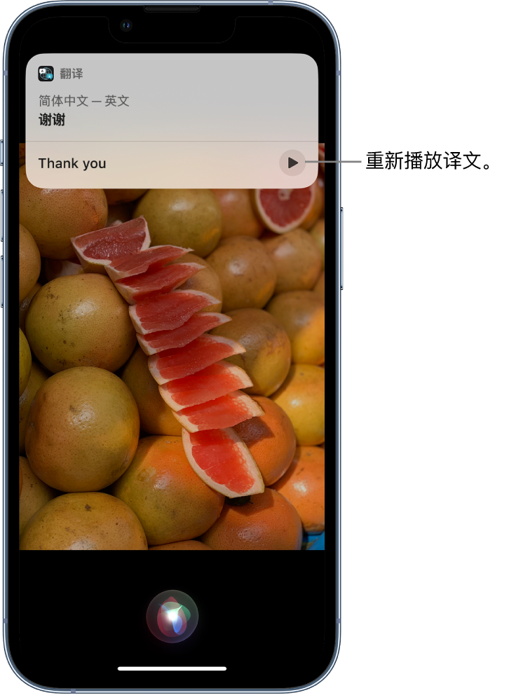 东英镇苹果14维修分享 iPhone 14 机型中使用 Siri：了解 Siri 能帮你做什么 