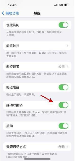 东英镇苹果手机维修分享iPhone手机如何设置摇一摇删除文字 