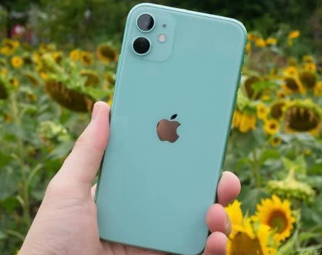 东英镇苹果维修点分享iPhone 11锁屏密码认知与使用科普 